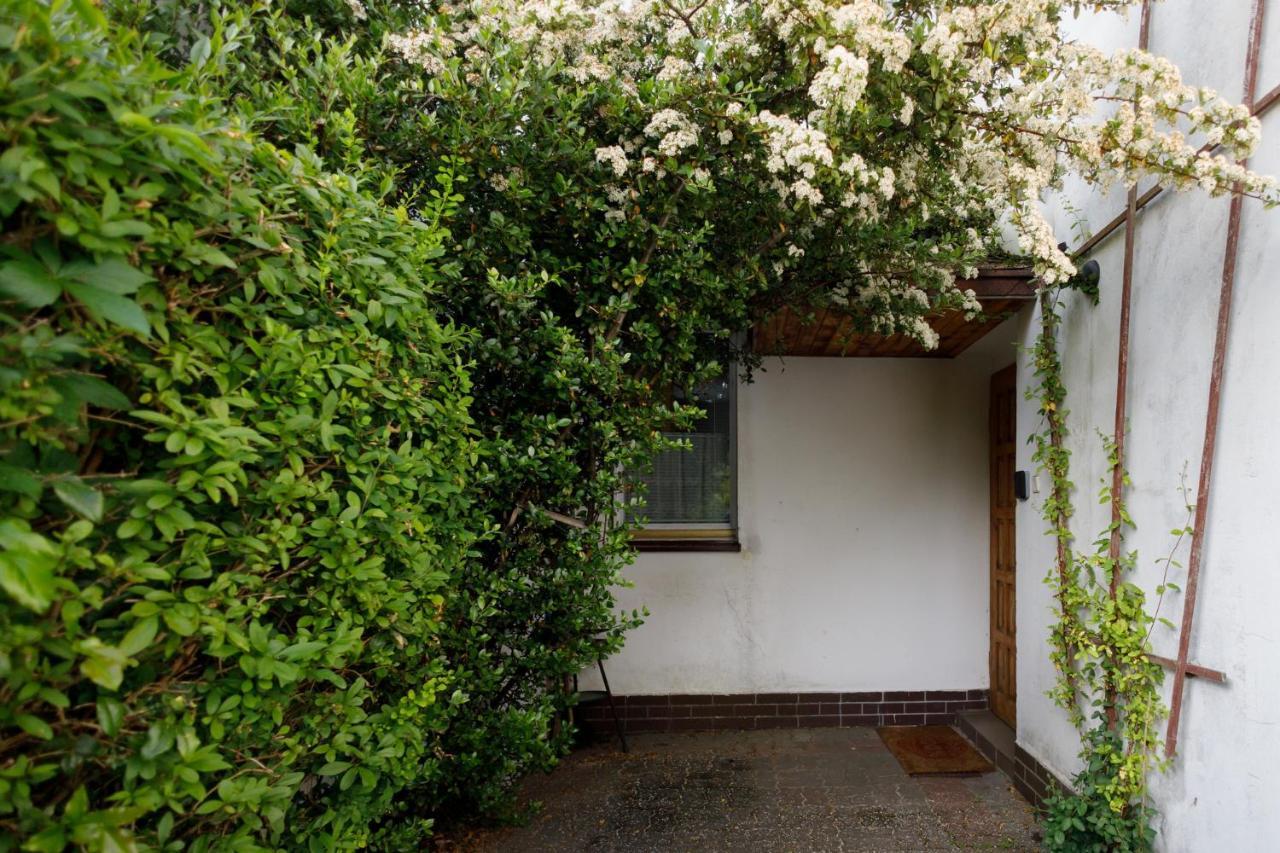 רובי Apartament Miriada 16 מראה חיצוני תמונה